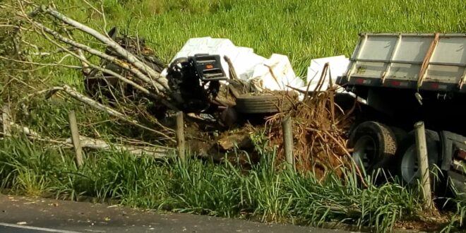 Carreta Atinge Rvore E Tomba S Margens Da Rj Bom Jesus Do