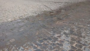 IMG_20150809_095251363