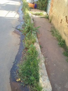 12088560_768223939990588_1140973820334034932_n