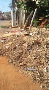 12115748_768223809990601_8040564839551846911_n