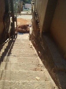 12119175_768224323323883_7683885452980285521_n